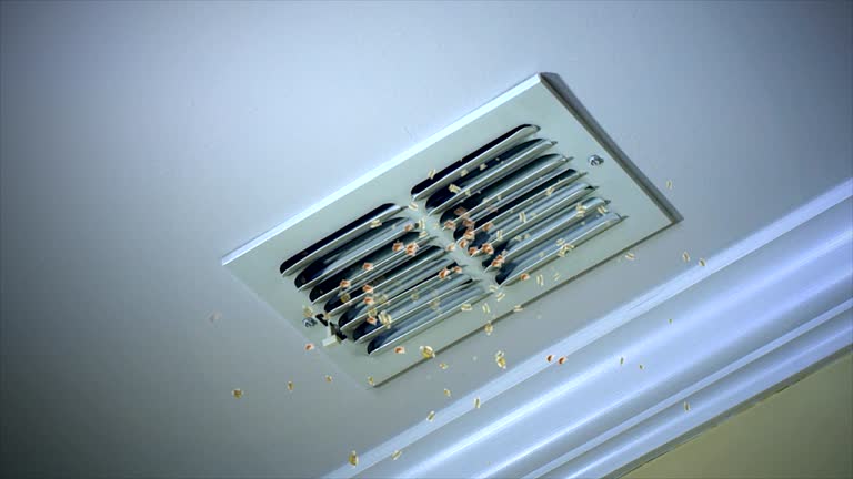 Best Duct Cleaning for Homes  in Town And Country, WA